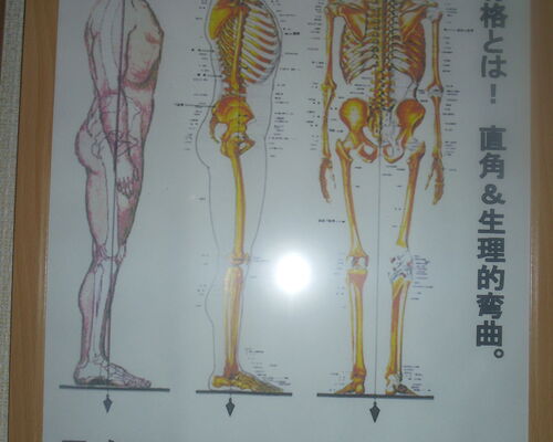IMGP3062