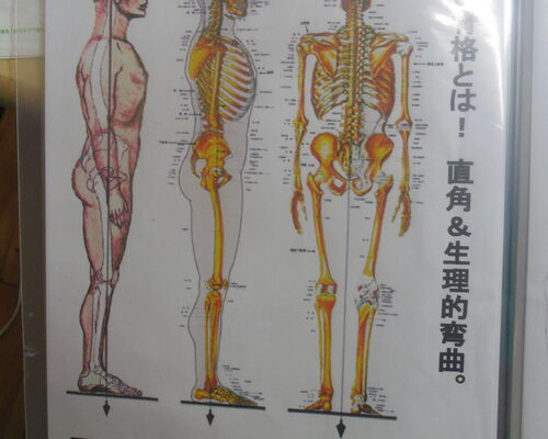 IMGP3124